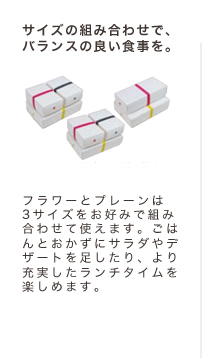 便利な仕切り付き。同素材の仕切りが付いているので、おかずとごはんを仕切ったり、三角に折れる仕切りを使えばころがりやすいものをコーナーに詰めるのも簡単です。