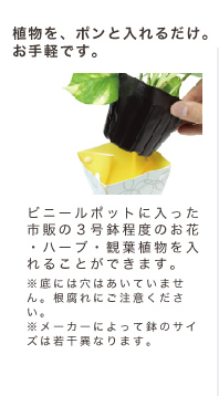 植物を、ポンと入れるだけ。お手軽です。