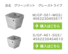 グリーンポット　グレーストライプ