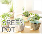 GREEN POT